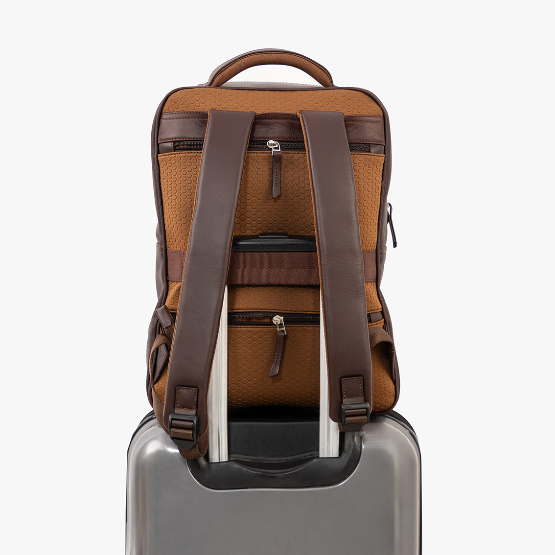 Morral Amaru / Café oscuro