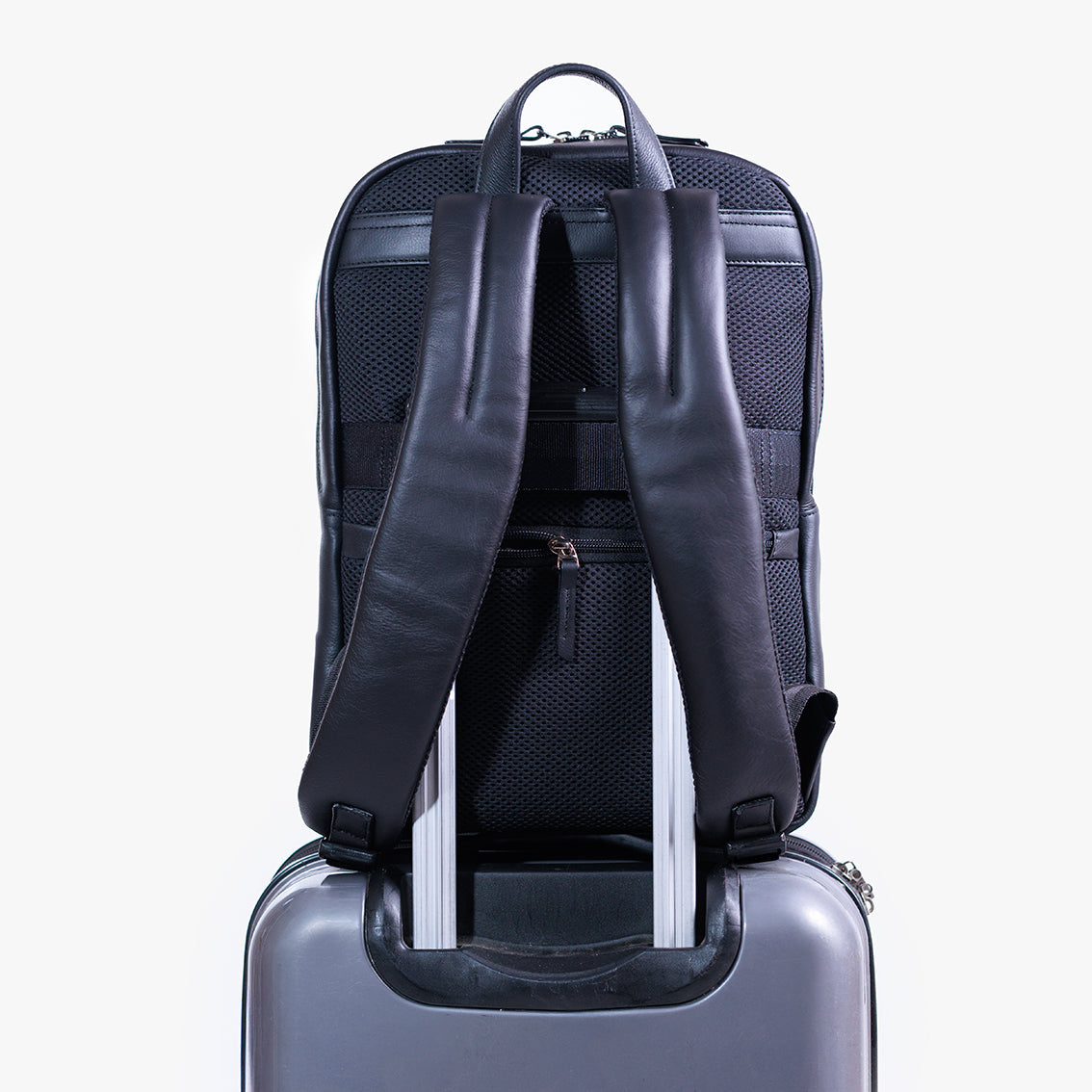 Morral Londres/ Negro