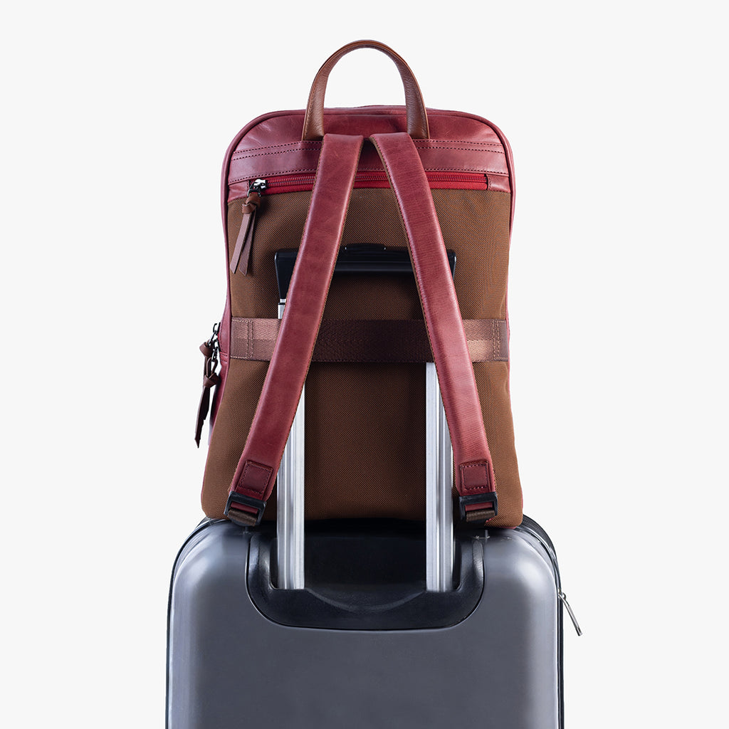 Morral Macarena / VinoTinto