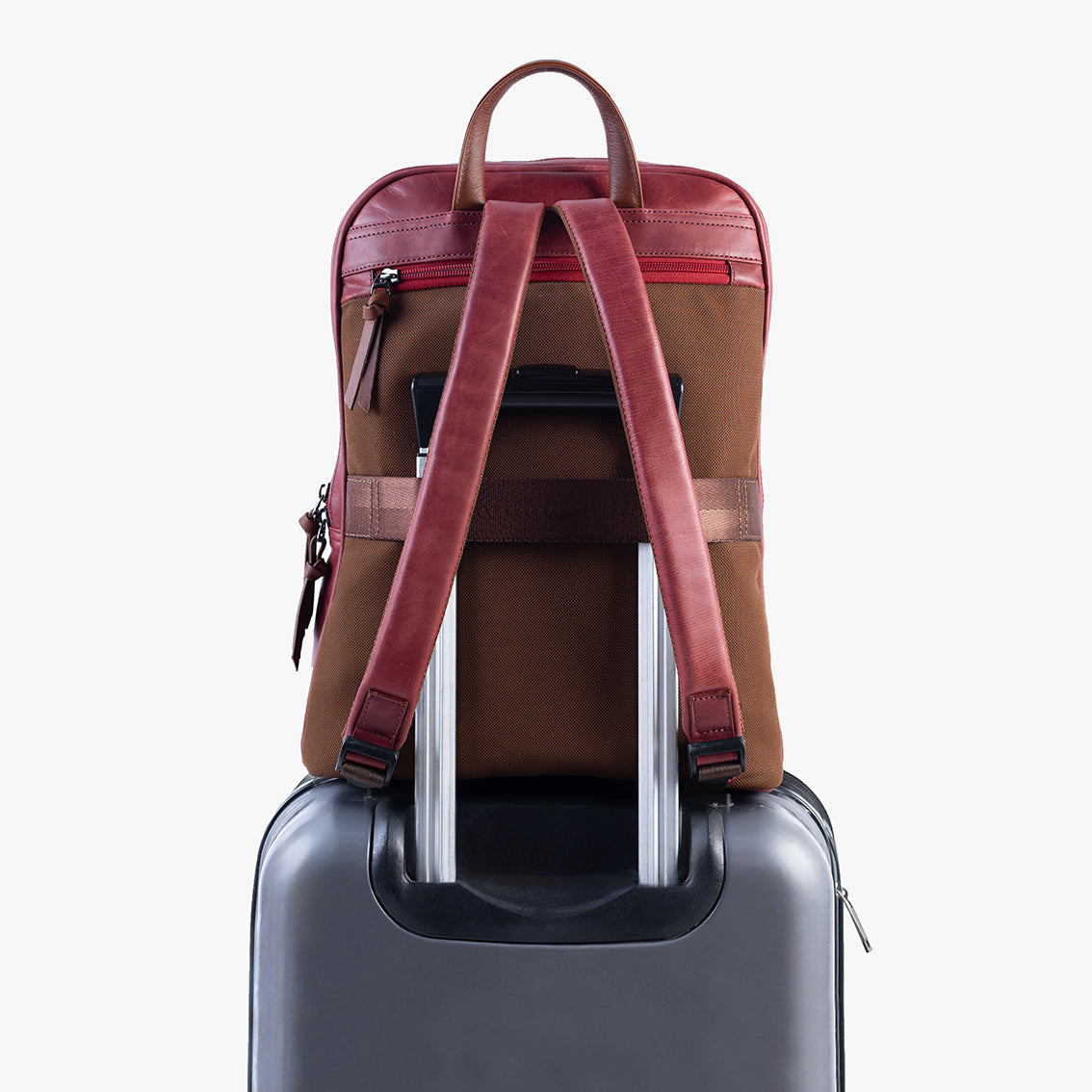 Morral Macarena / VinoTinto
