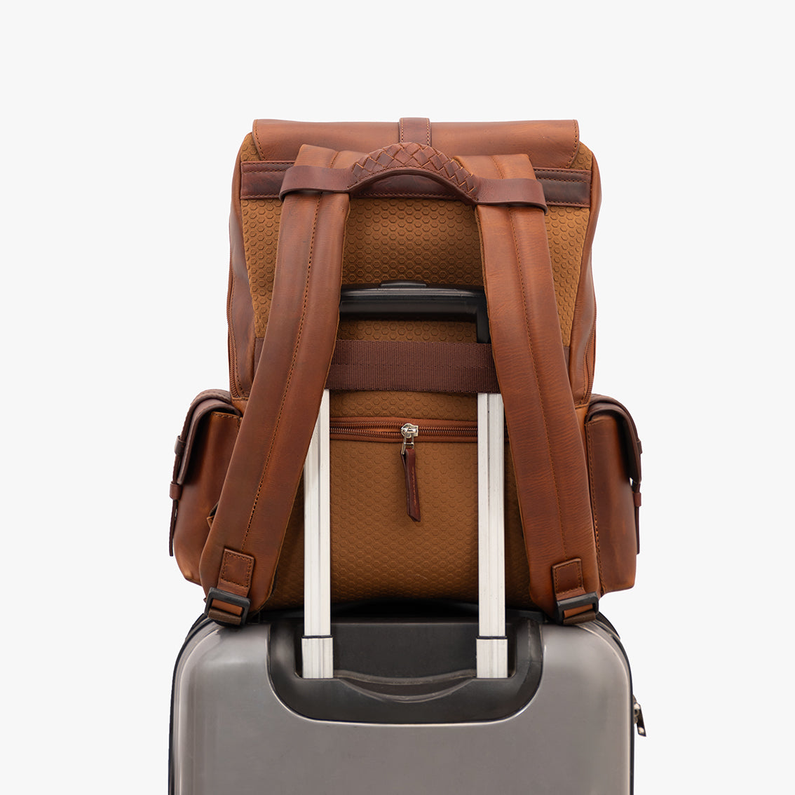 Morral Tayrona / Café